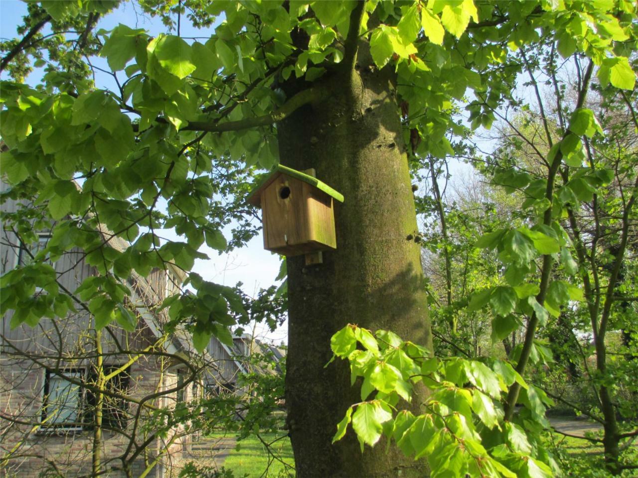 Villapark De Hondsrug Odoorn Exterior foto