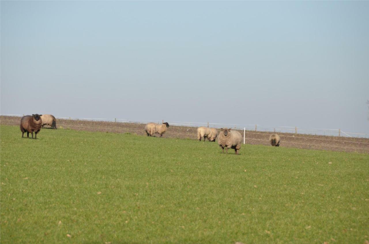 Villapark De Hondsrug Odoorn Exterior foto